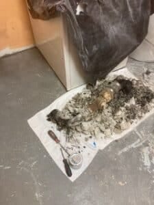 Debris removed during drain cleaning