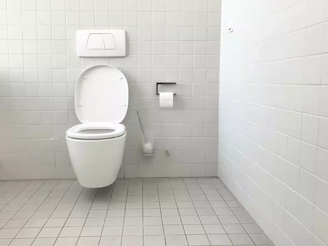 how to unclog a toilet