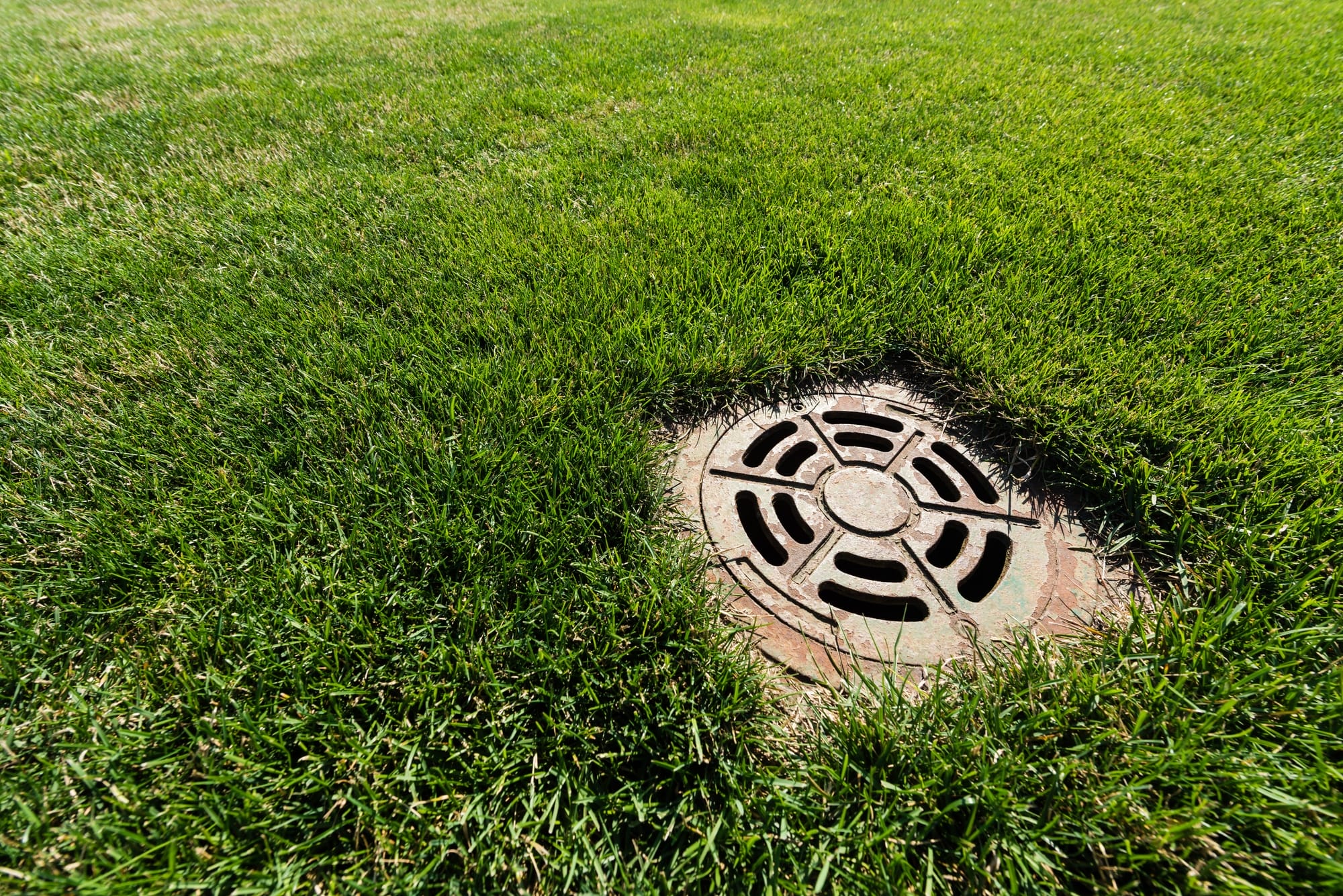 What Causes Sewer Backup? 7 Common Culprits to Watch Out For